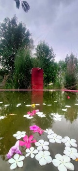 Kross Adventure Campsite,,2 star