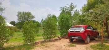 kross adventure campsite