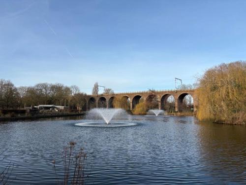 chelmsford