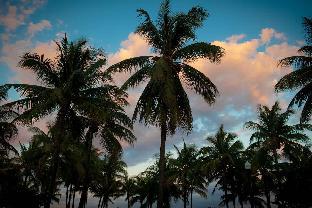 Leslie Hotel Ocean Drive,Miami Beach>>Miami,4 star