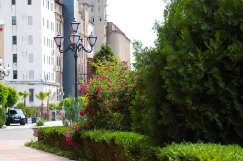 plaza viktoria hotel yerevan