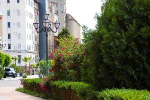 plaza viktoria hotel yerevan