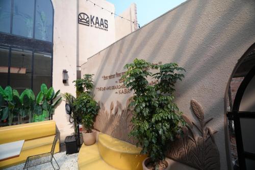 kaas by safarnama boutique hotel