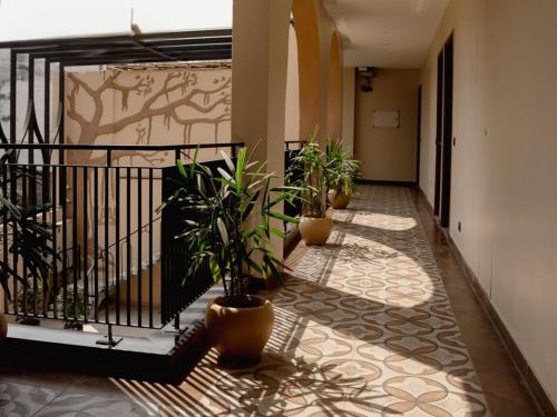 kaas by safarnama boutique hotel