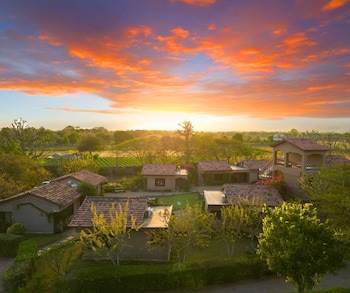 clarks safari pushkar