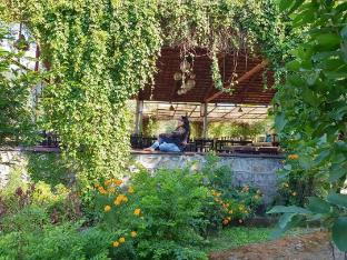 shoolin jungle resort