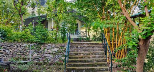 shoolin jungle resort