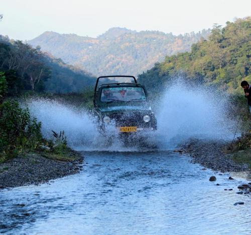 shoolin jungle resort