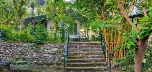 shoolin jungle resort