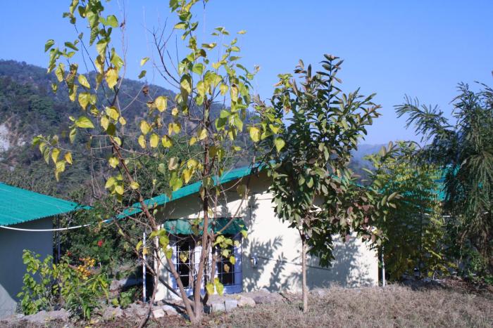 shoolin jungle resort