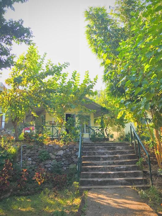 shoolin jungle resort