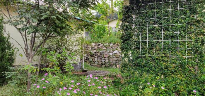 shoolin jungle resort