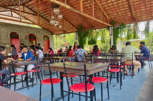 shoolin jungle resort