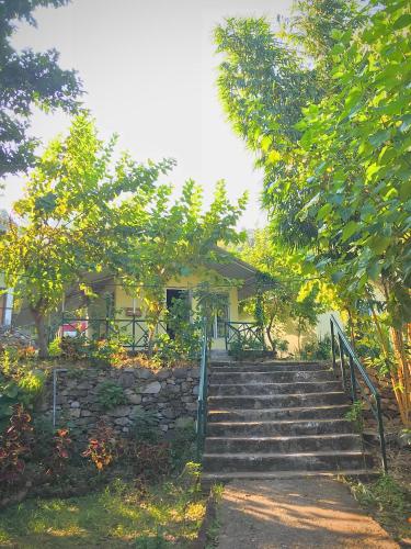 shoolin jungle resort