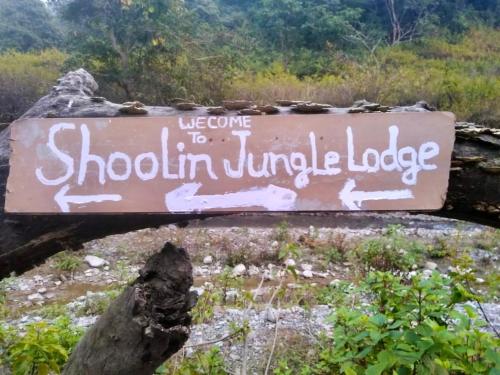 shoolin jungle resort