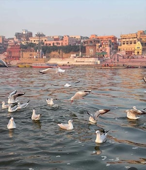 shiv kashi p guest house by glitz hotels