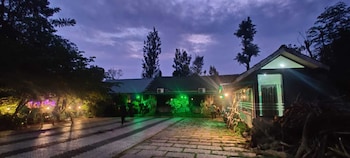 the rain tree resort