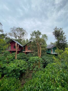 the rain tree resort