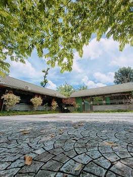 the rain tree resort