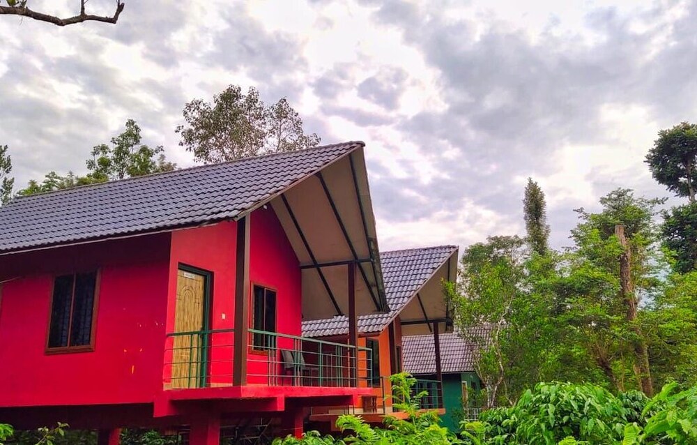 the rain tree resort