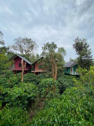 the rain tree resort