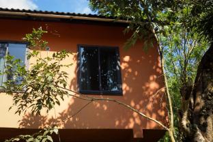 the rain tree resort