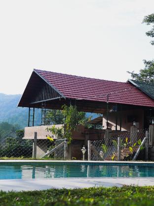 the rain tree resort