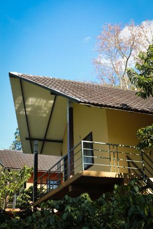 the rain tree resort