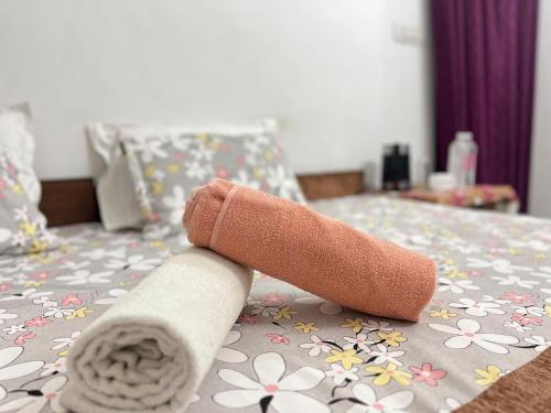 maa vaishno paying guest house