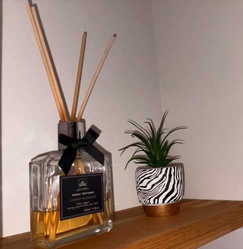 seclin appartements