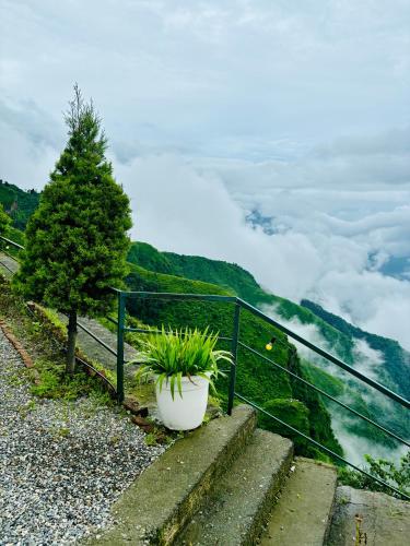 Deodar Inn Resort,,3 star