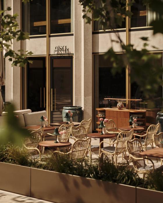 the chancery rosewood