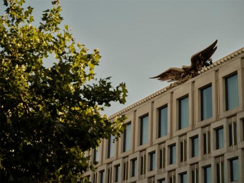 the chancery rosewood