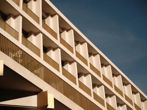 the chancery rosewood