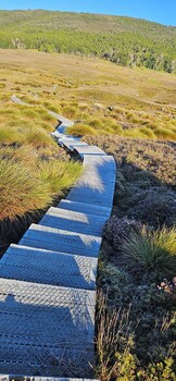 penguin retreat