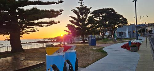 penguin retreat