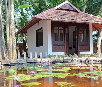 ayurveda tours india