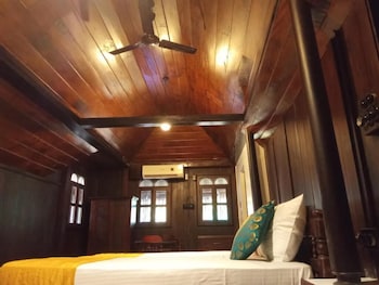 ayurveda tours india