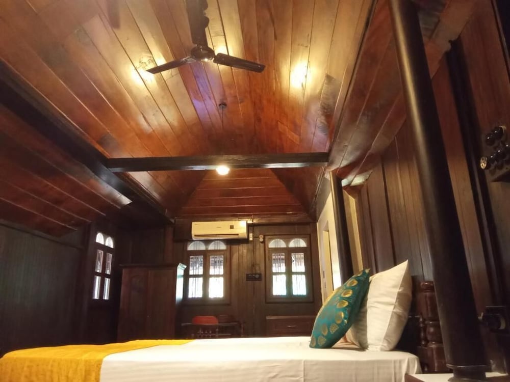 ayurveda tours india