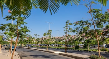 new cairo