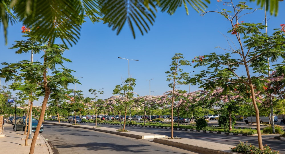 new cairo