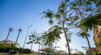 Sokon Residence Rehab,Rehab City,2 star