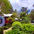 sky island studios