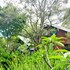 sky island studios