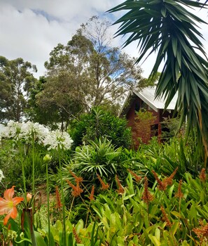 sky island studios
