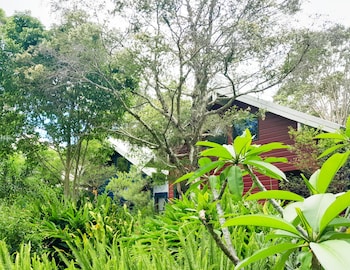 sky island studios