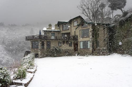 amaraya by larisa nainital