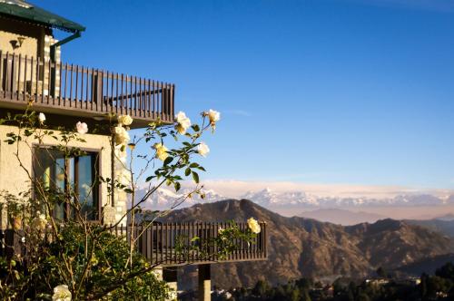 amaraya by larisa nainital