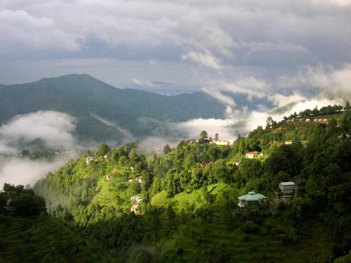 amaraya by larisa nainital