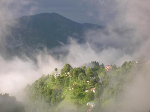 amaraya by larisa nainital